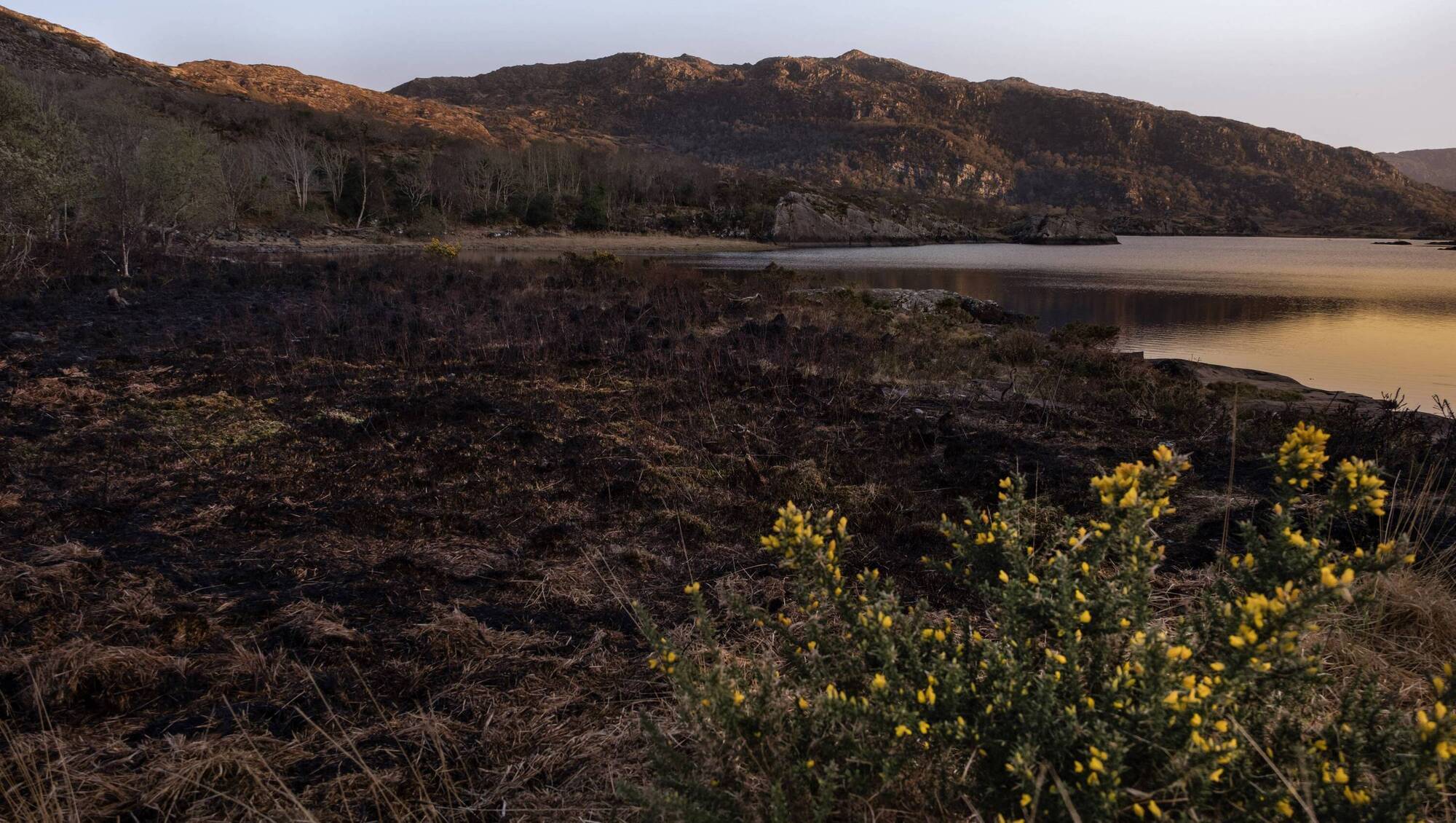 Impunity for environmental crimes sees our hills burn
