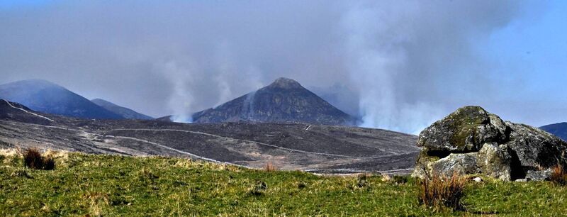 A huge area of now barren and burnt out gorseland lies blackened and dead as wild gorse fires raged across the hillsides in the Mountains of Mourne near the Silent Valley Reservoir in County Down last month. In Northern Ireland, firefighters tackled almost 150 wildfires across three days in April. Photo: Alan Lewis A huge area of now barren and burnt out gorseland lies blackened and dead as wild gorse fires raged across the hillsides in the Mountains of Mourne near the Silent Valley Reservoir in County Down last month. In Northern Ireland, firefighters tackled almost 150 wildfires across three days in April. Photo: Alan Lewis
