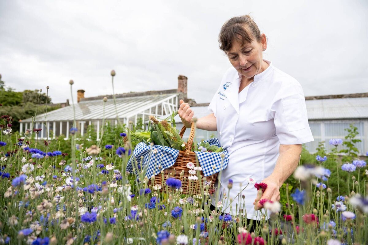 Dervilla O'Flynn, head chef at Ballymaloe House, Shanagarry, East Cork. Picture: Joleen Cronin Dervilla O'Flynn, head chef at Ballymaloe House, Shanagarry, East Cork. Picture: Joleen Cronin