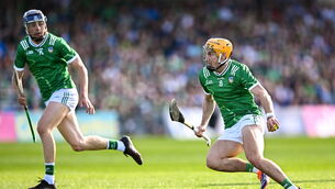 <p>Limerick can mix the short game with the long. Pic: Piaras Ó Mídheach/Sportsfile</p>