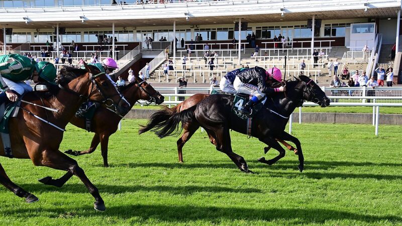 William Haggas and Chris Hayes continue good strike rate as First Instinct returns victorious