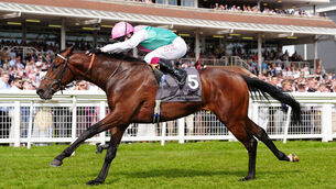 <p>Jonquil ridden by Oisin Murphy on their way to winning the Watership Down Stud Too Darn Hot Greenham Stakes at Newbury Racecourse.</p>