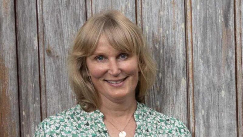 Author interview: Harding back to college days with love of campus novel Author interview: Harding back to college days with love of campus novel
