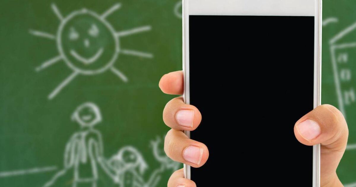 Computer game to spot the signs of online grooming to be rolled out in ...