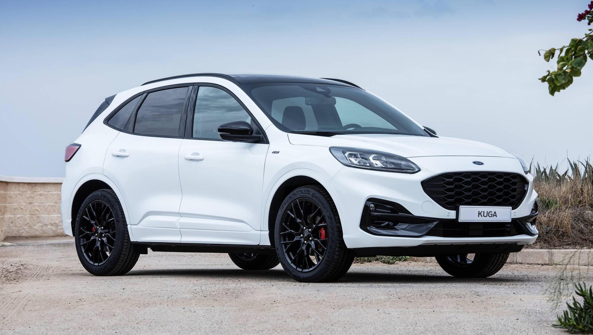 In a statement on Tuesday, Ford Ireland said software update would be available 'within 10 to 15 days'.