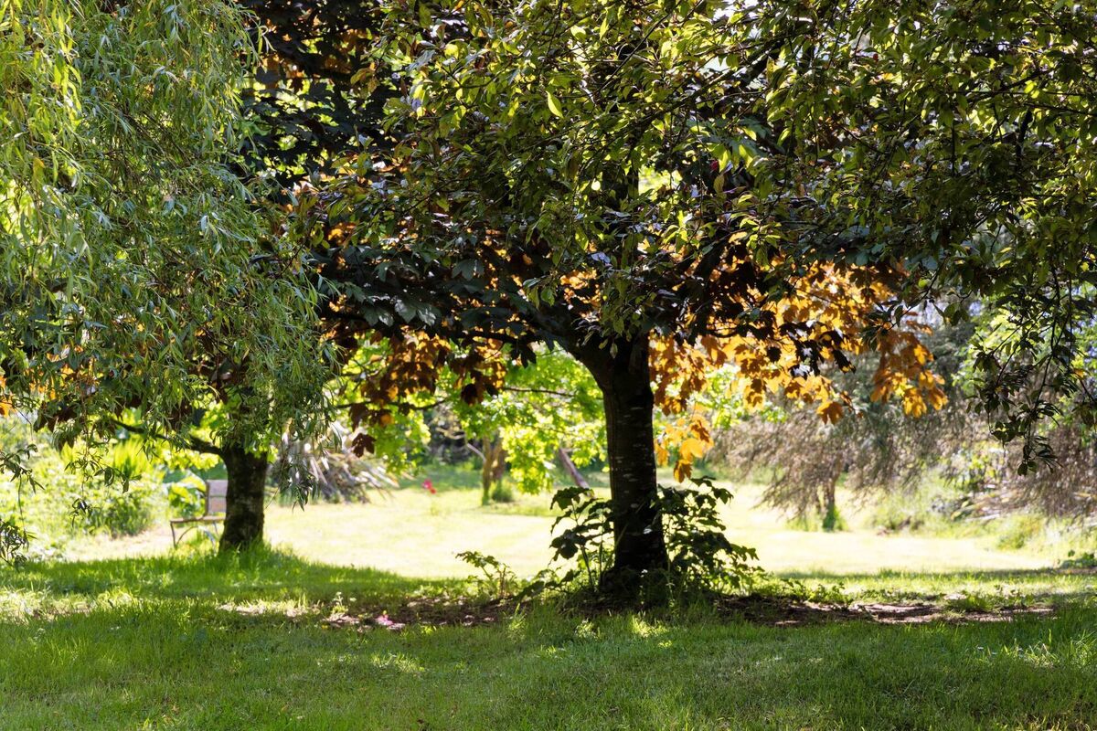 The grounds at Westlake
