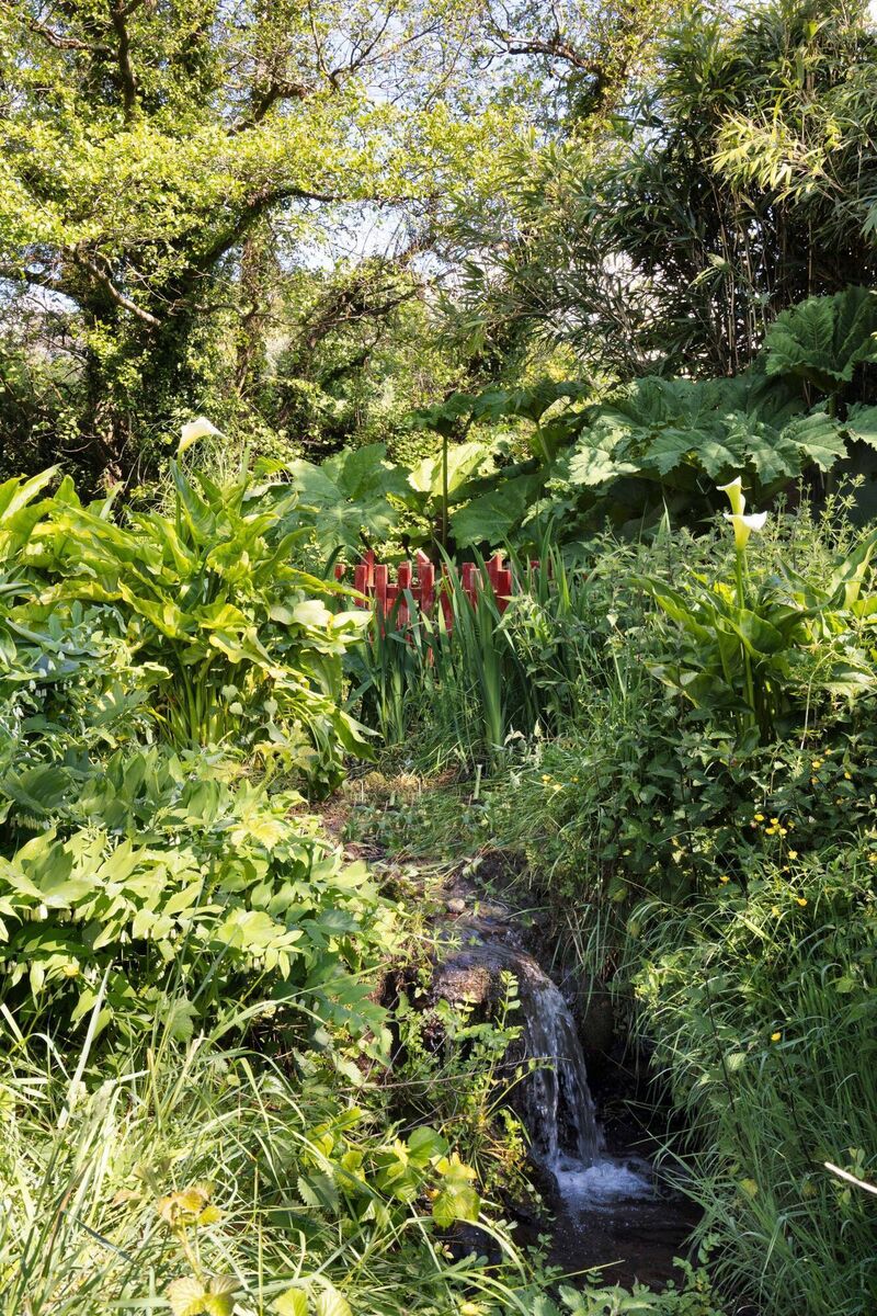 One of the little red bridges built by Des for his grandkids peaks out from the foliage at Westlake