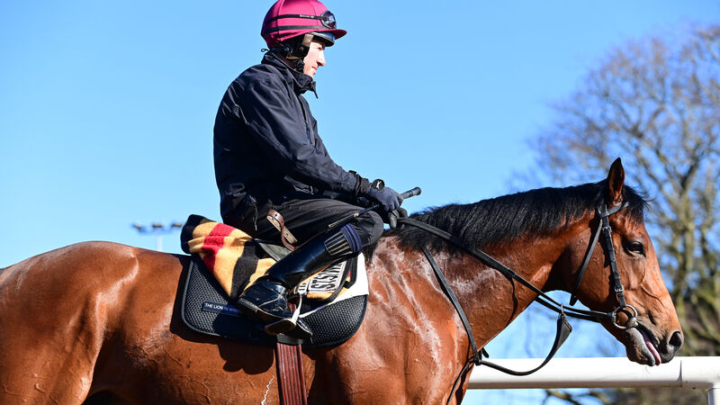 The Lion In Winter not discounted for Derby despite Dante disappointment