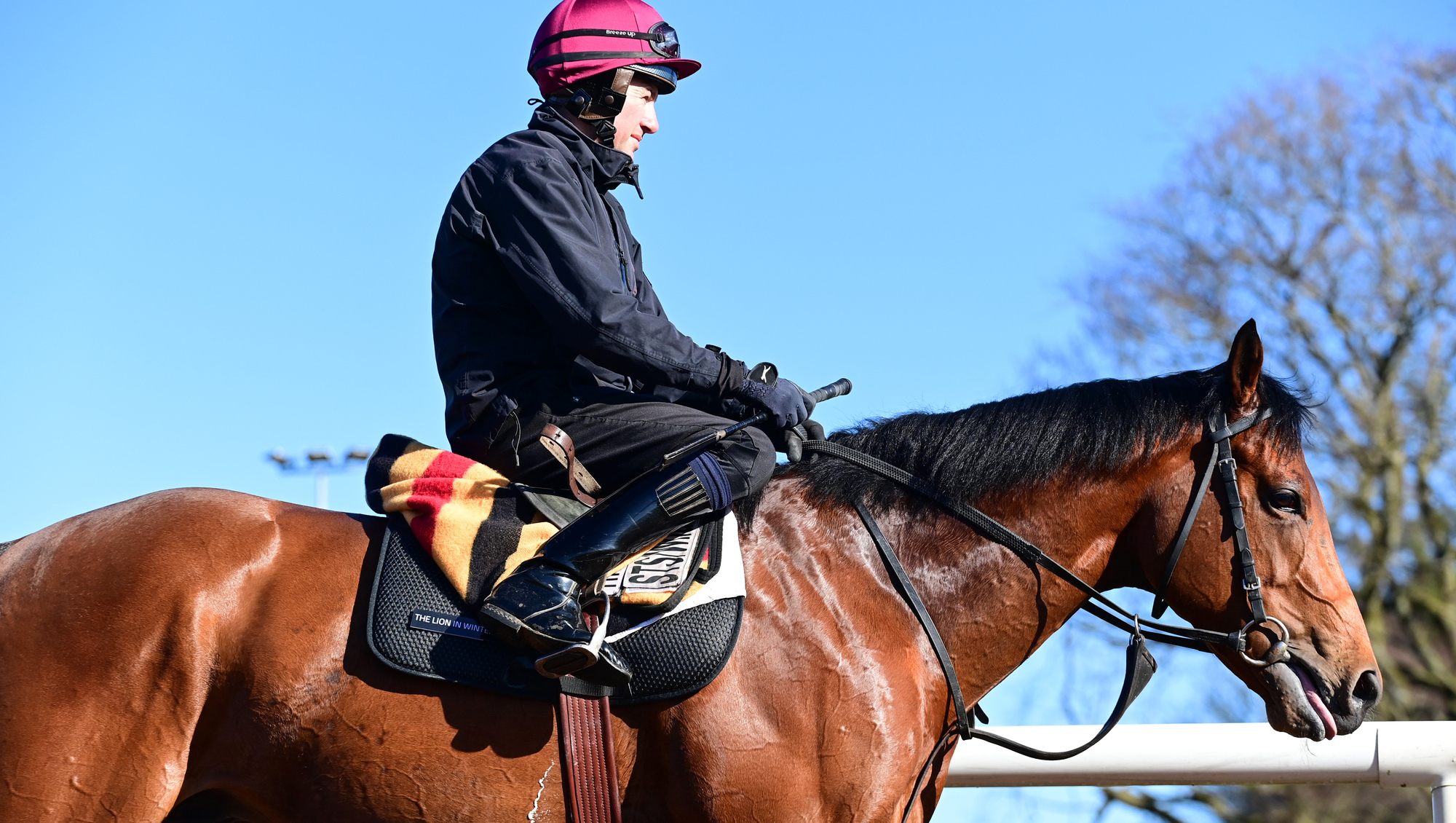 For the third year in succession Aidan O'Brien could bid to turn disappointment into Betfred Derby glory, with The Lion In Winter very much still in the mix for Epsom despite failing to fire in the Al Basti Equiworld Dubai Dante Stakes. Pic: Healy Racing