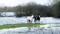 Fianna Fáil is calling for a new approach to managing future flooding