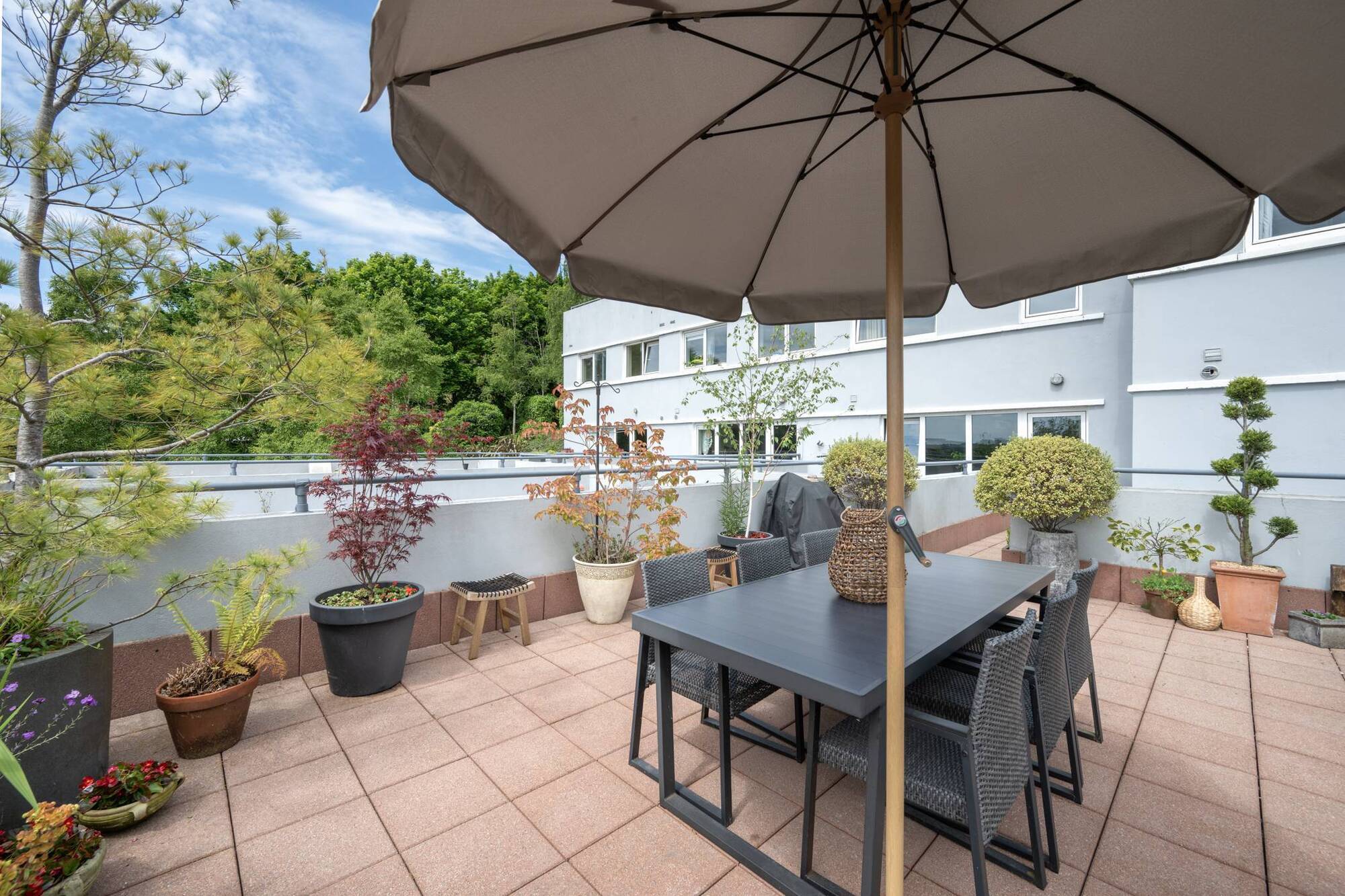 Verdant terrace takes apartment in Cork's Tivoli to a whole new level