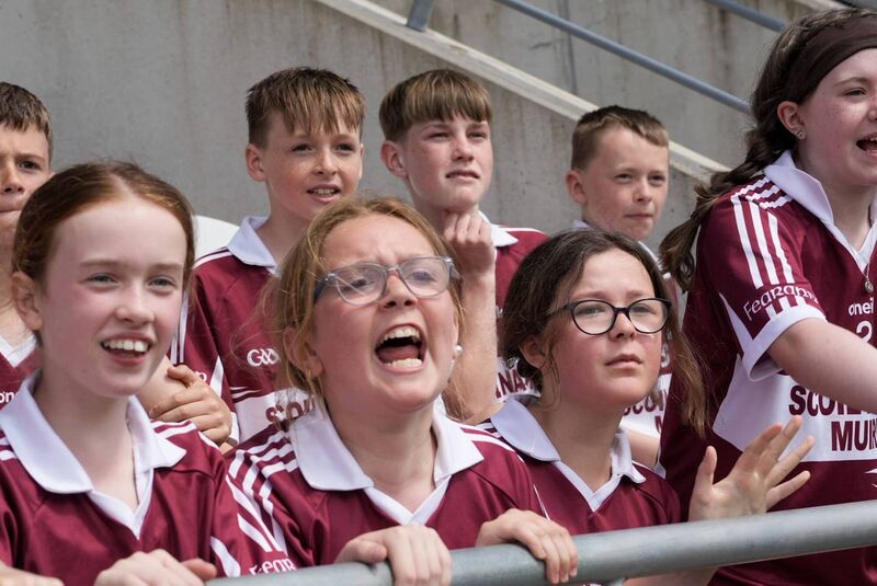 TRUE COLOURS: Farran fans show their support. Pic: Noel Sweeney
