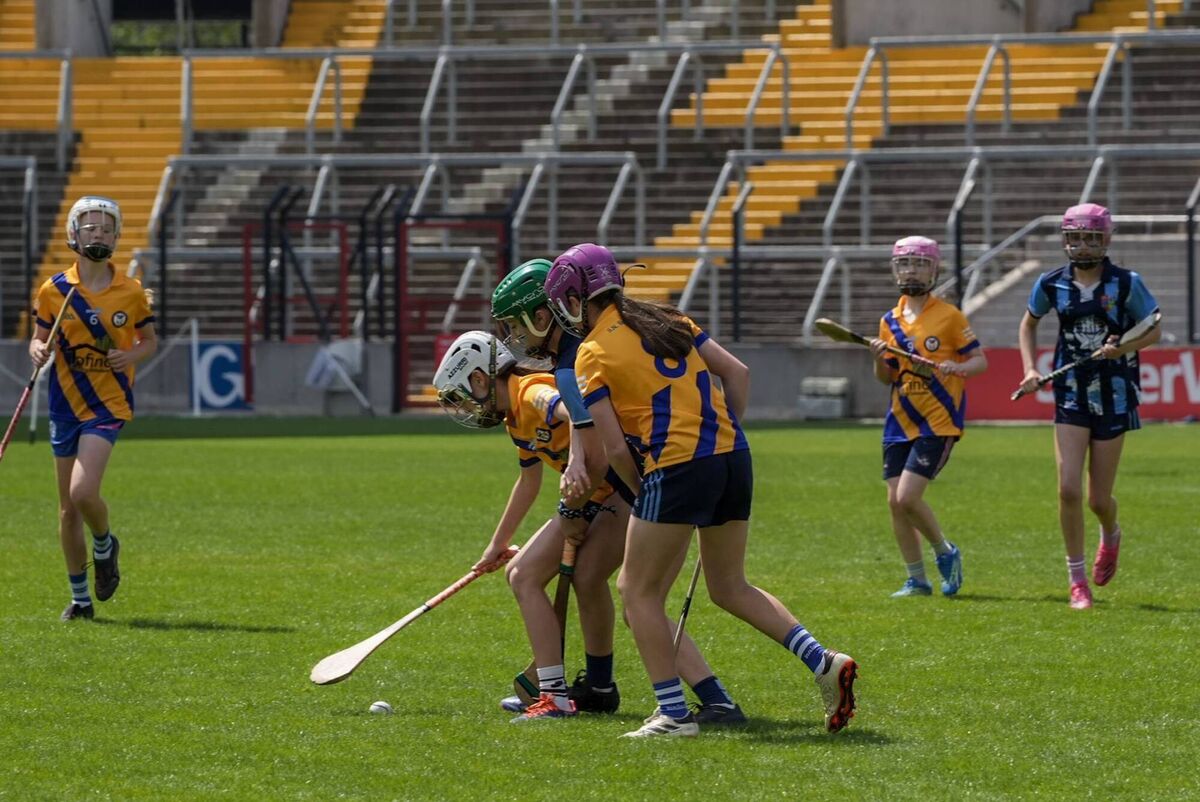 BIG STAGE: Vicarstown vs Monkstown face off in their camogie final. Pic by Noel Sweeney