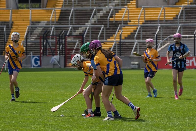 BIG STAGE: Vicarstown vs Monkstown face off in their camogie final. Pic by Noel Sweeney