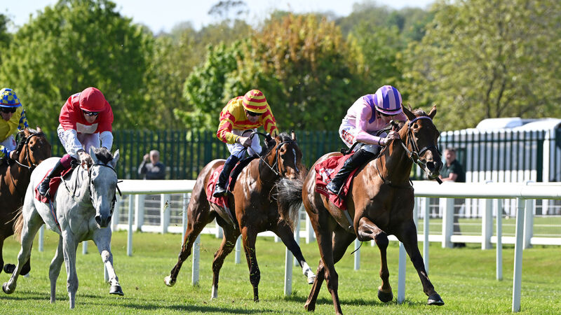 Rogue Legend can get punters off to flying start at Cork 