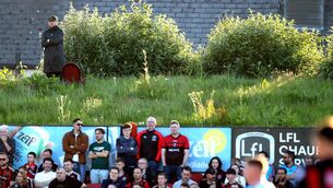 <p>Shelbourne head coach Damien Duff watches the game. Pic: Ryan Byrne/Inpho</p>
