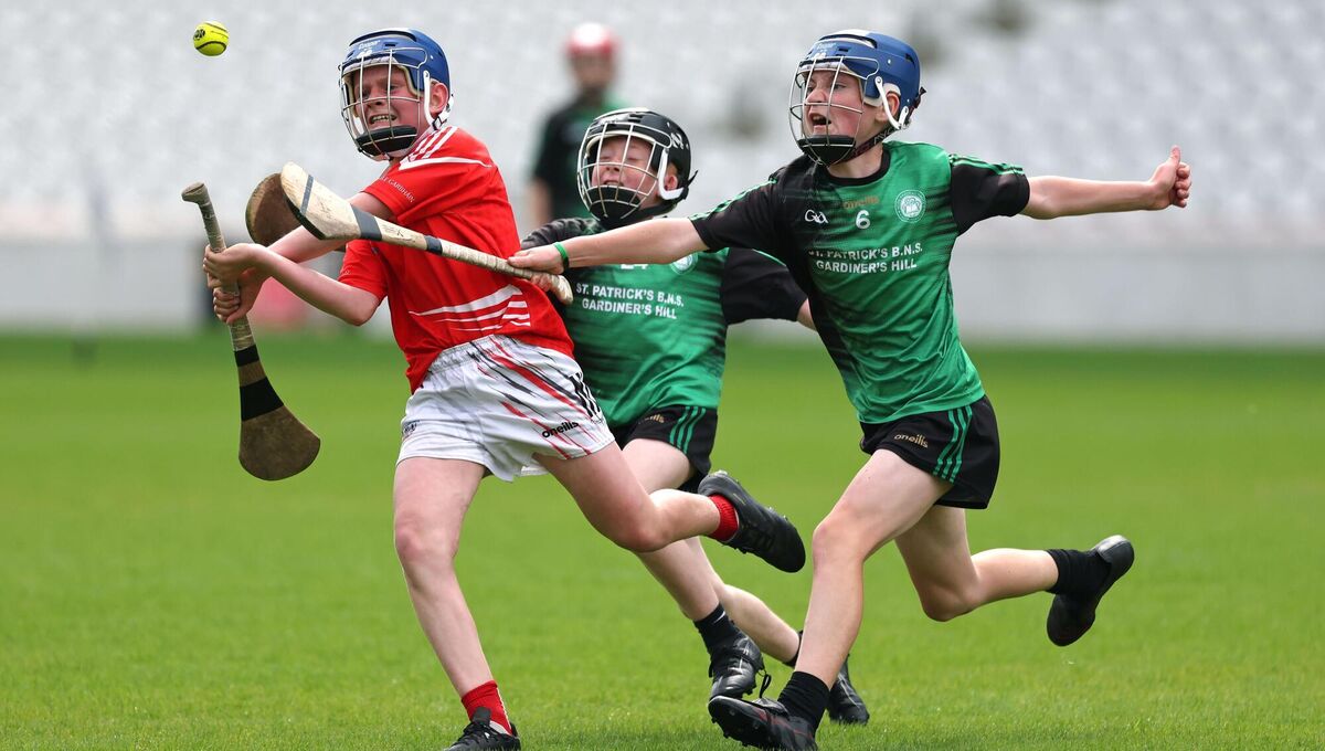 FULL BLOODED: Cian O'Connor and Andrew Lynch of St Patrick's put Patrick Browne of Ballygarvan under pressure. Picture: Jim Coughlan.