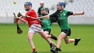 <p>FULL BLOODED: Cian O'Connor and Andrew Lynch of St Patrick's put Patrick Browne of Ballygarvan under pressure. Picture: Jim Coughlan.</p>