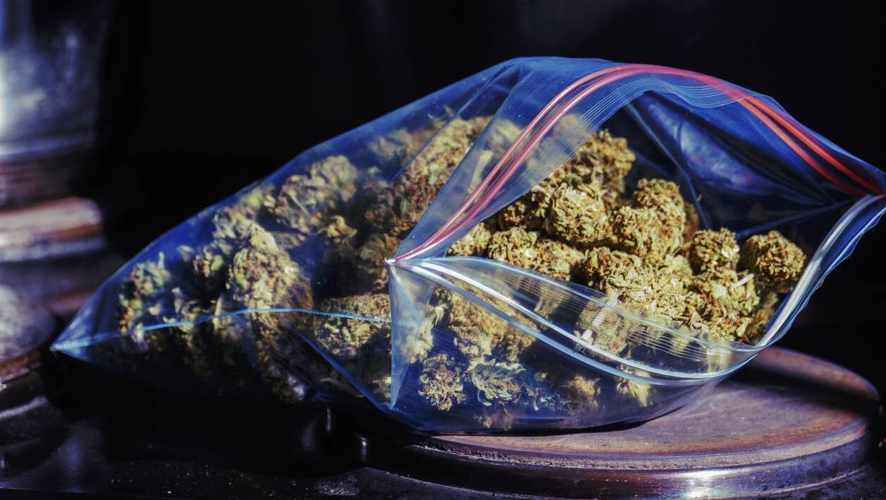 Cork man who grew cannabis to relieve chronic pain avoids jail