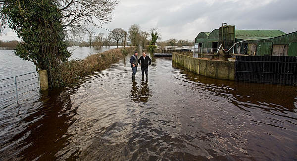 EU denies 'daft rules' on conservation are to blame for floods in Ireland
