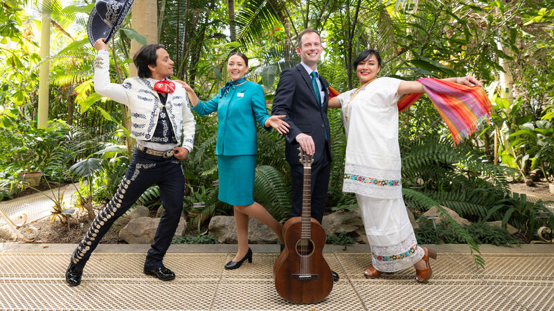 Aer Lingus announces direct flight from Dublin to Cancún — what you need to know Aer Lingus announces direct flight from Dublin to Cancún — what you need to know