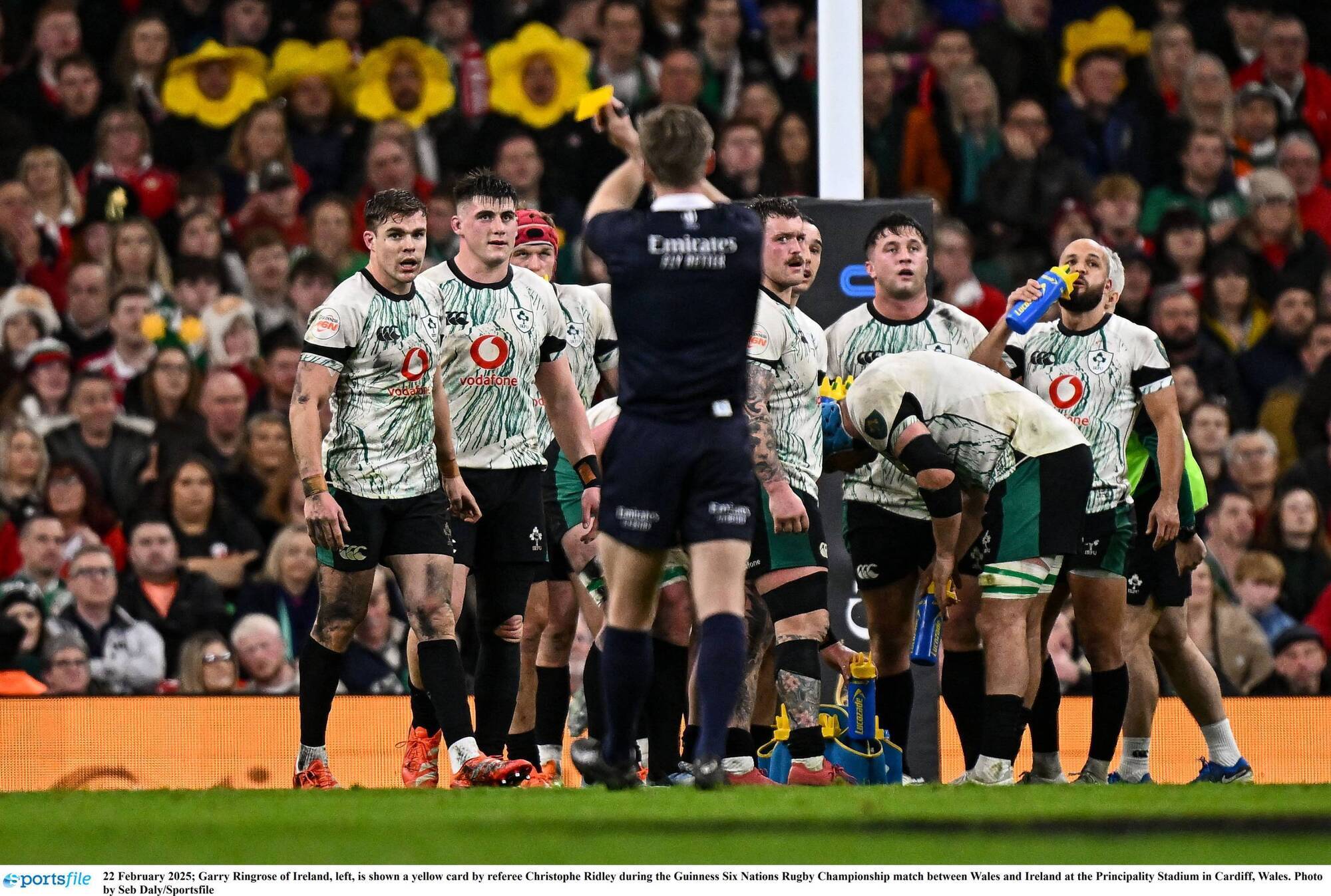 Controversial 20-minute red card will apply across professional rugby