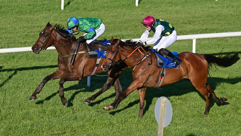 Double delight for in-form O'Keeffe 