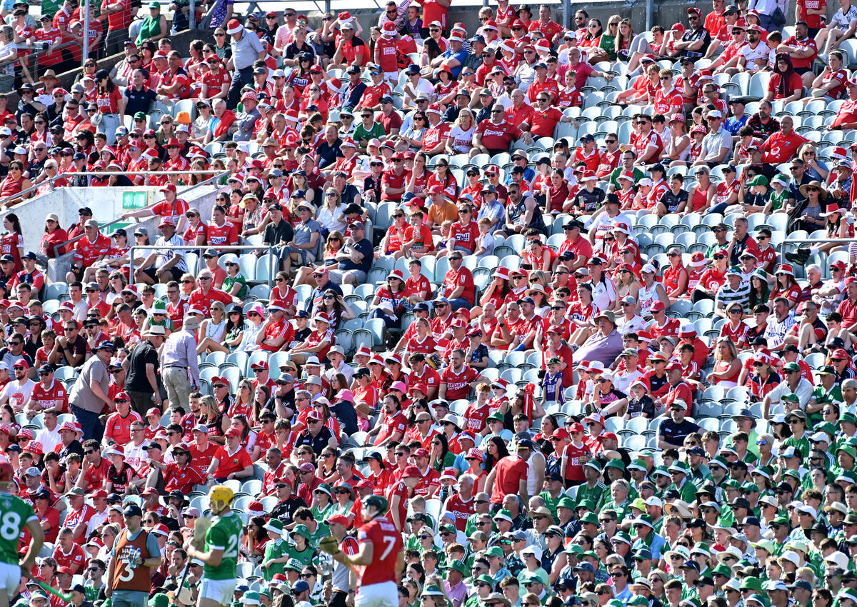 TRUE COLOURS: Cork fans who stayed on against Limerick last weekend. Picture: Eddie O'Hare
