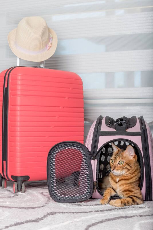 Boarding kennels should demand a full vaccination record. Ensure you plan ahead. Boarding kennels should demand a full vaccination record. Ensure you plan ahead.