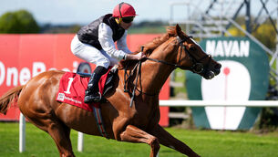 <p>Kyprios, who has been retired due to aggravating an old injury. Pic: Niall Carson/PA Wire.</p>