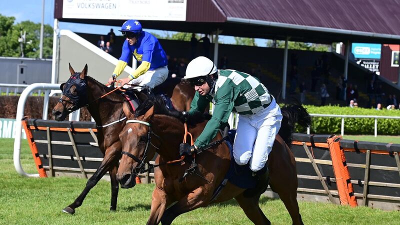 Sunchart shines on very kind ground