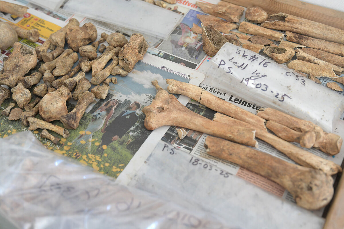  The aim of osteoarchaeology is to uncover past lives through the analysis of bones through various methods including visual examinations and microscopic analysis. This can determine factors such as age, sex, health, status and diet. However, Glenn believes its importance runs far deeper than that. Photo: Moya Nolan