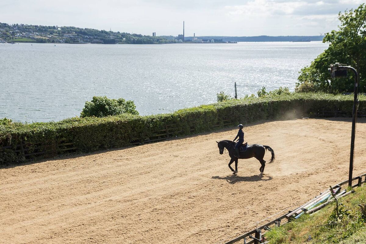 Saddle up for outdoor sand arena with view to die for at €1m Seaview Stables, East Ferry Saddle up for outdoor sand arena with view to die for at €1m Seaview Stables, East Ferry