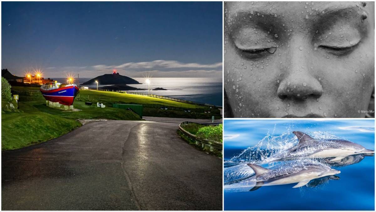 From left, clockwise, photographs by Anthony O'Connor, Maria Murray and Michael Hickey.