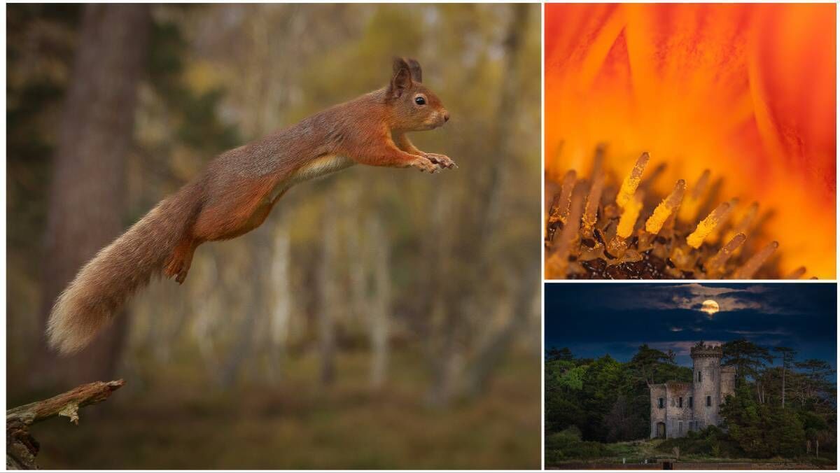 Clockwise from left, photos by Kevin Day, Grainne Davies and Jim O'Neill.