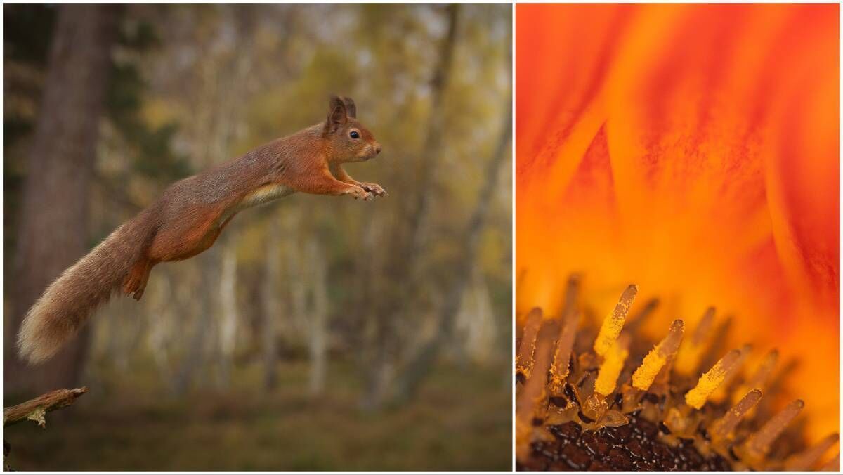 Left, a photo by Kevin Day, right, photo by Gráinne Davies.