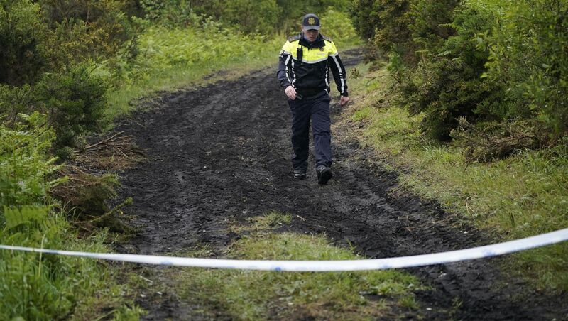 Gardaí searching in an area close to Killeigh, about 10km from Tullamore, Co Offaly, last week. Picture: Niall Carson/PA