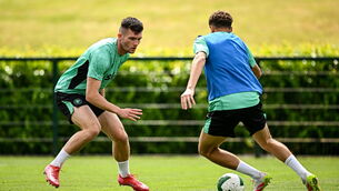 <p>Josh Honohan never saw not going to play in the UK as a teen as a negative for his career. Pic: Seb Daly/Sportsfile</p>