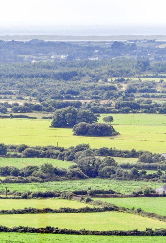 When you find your fairy fort, stop, admire it, look at it.