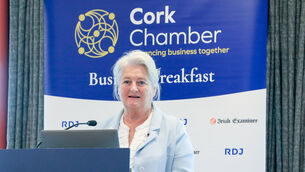 <p>Colette Twomey, managing director of Clonakilty Food Company speaking at a Cork Chamber Business Breakfast, which took place at the Clayton Hotel, Cork. Picture: David Creedon</p>