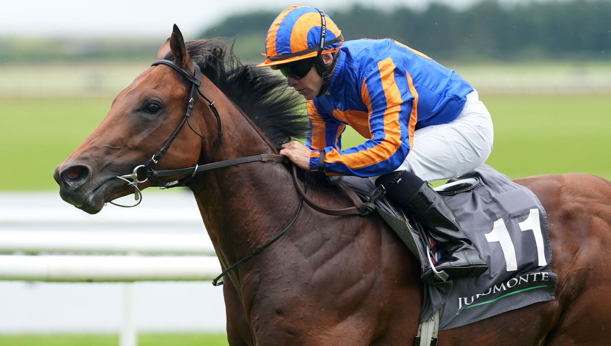 SOMETHING TO PROVE: The Lion In Winter lost his unbeaten record in the Dante at York and now has the widest draw of all to overcome in the Derby.  	Picture: Niall Carson/PA 