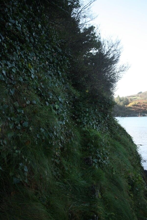 Possible pirate steps cut into the rock. Possible pirate steps cut into the rock.