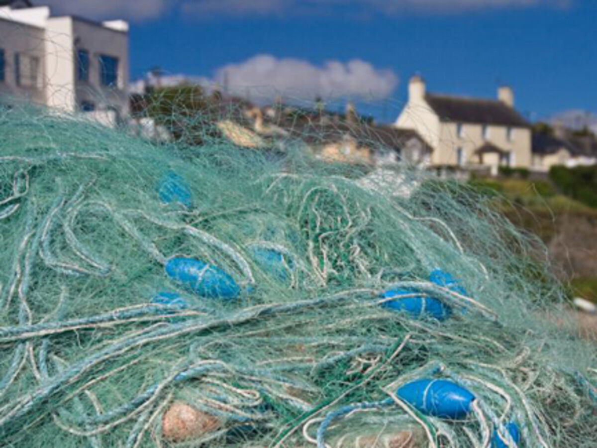 Money for old rope is net gain