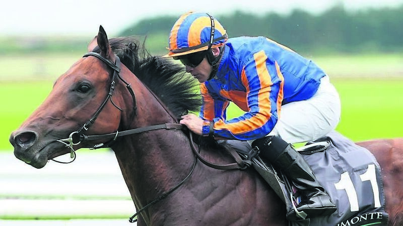 Colm Greaves: The Lion In Winter has more pros than cons for Epsom Derby decision-makers 