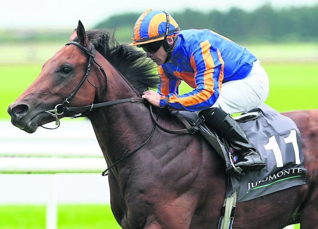 SPEED KING: The Lion In Winter looked like a horse with lots of speed when he won twice in his juvenile season, including an impressive victory in the Group 3 Acomb Stakes at York. Picture: Niall Carson/PA