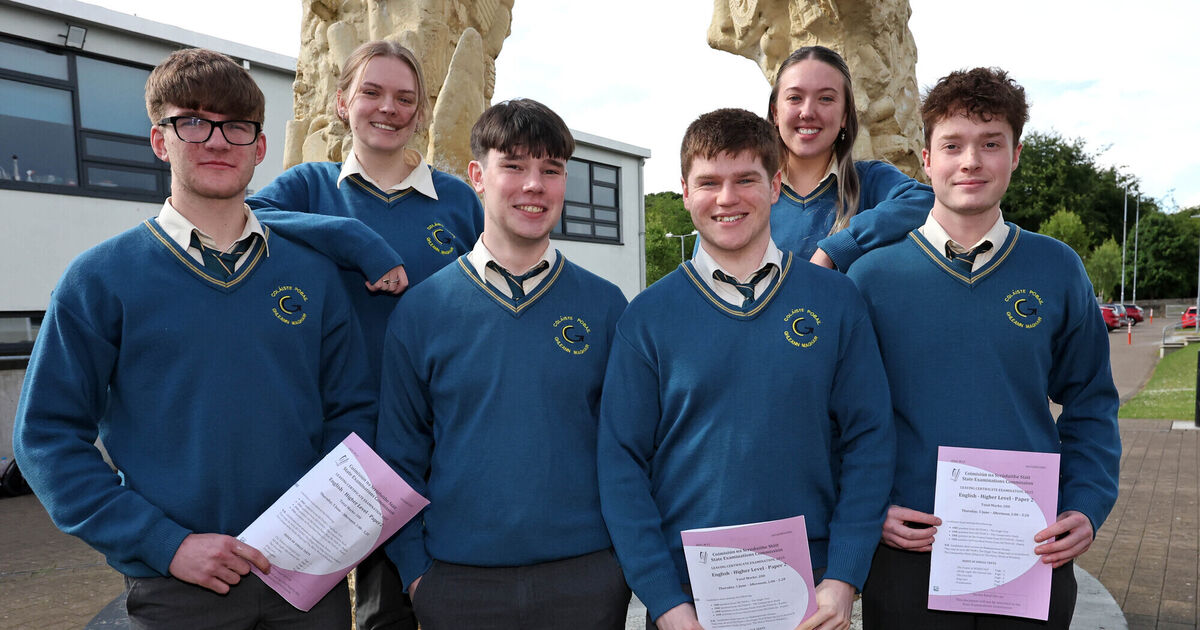 Leaving Cert English Paper 2 tests depth of knowledge with ...
