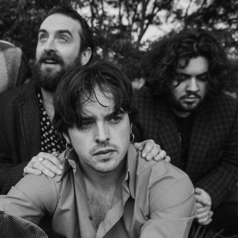 Harmonic home of the Fynches