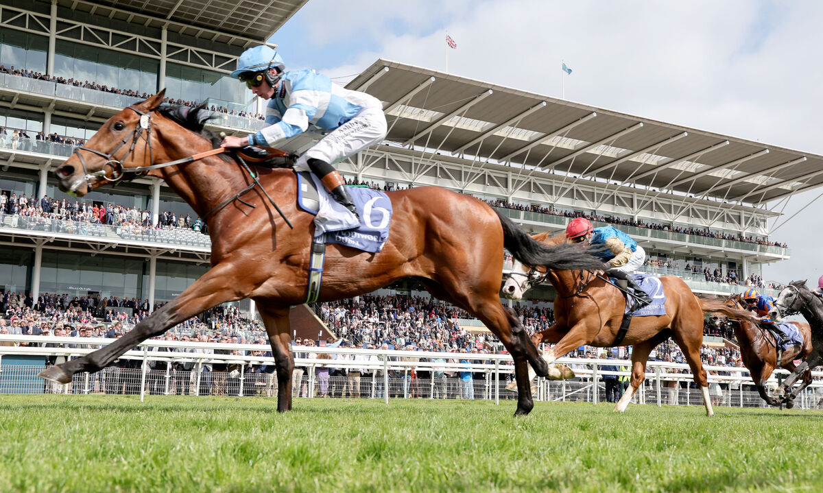  Pride Of Arras and Rossa Ryan (light blue) winning The Al Basti Equiworld Dubai Dante Stakes 