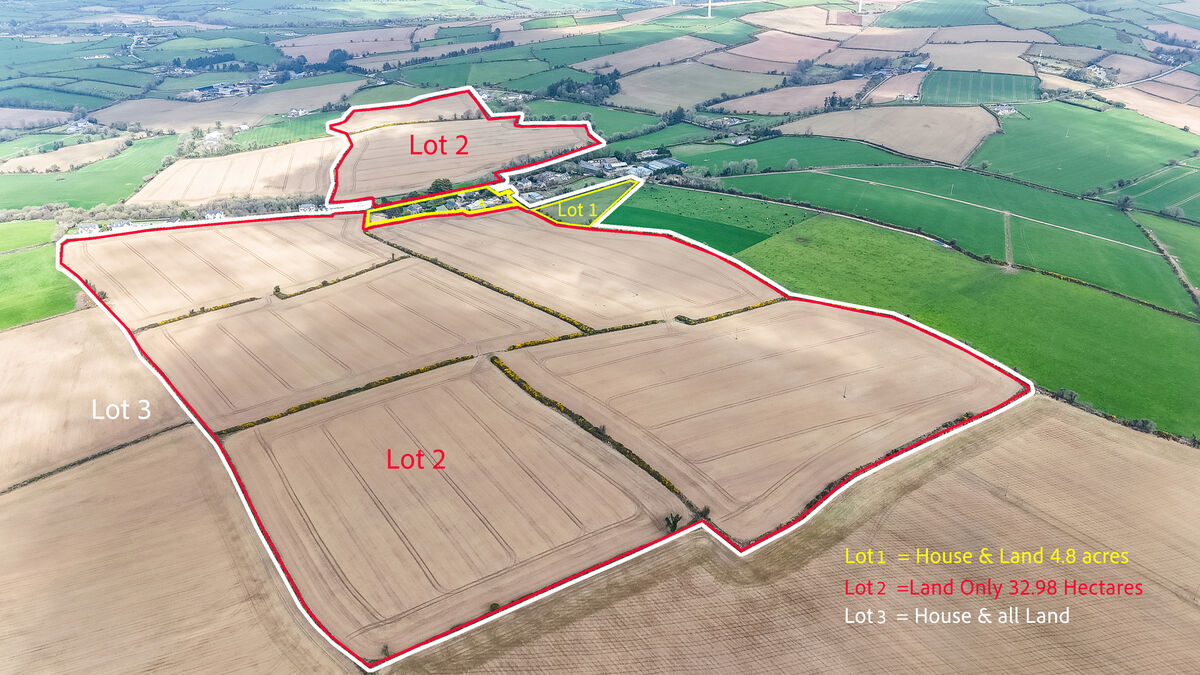 After competitive bidding, the final bid landed on Lot 3 (the entire) selling under the gravel for an impressive €2.3m (€26,700/acre).