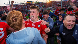 <p>Cork’s Diarmuid Healy celebrates with supporters. </p>